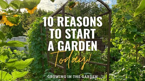 10 Reasons to START a GARDEN TODAY: Growing in the Garden