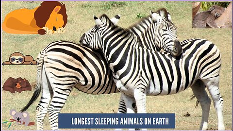 Longest Sleeping Animals on Earth | Самые долгоспящие животные на Земле