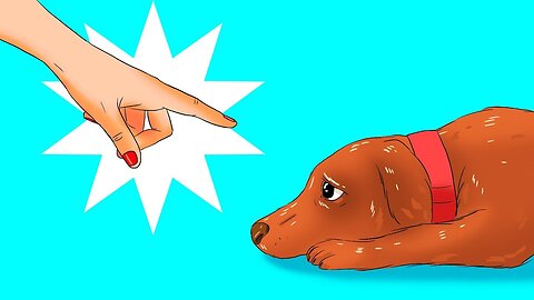 12 Harmful Things You Do to Your Dog Without Realizing It