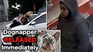 Dognapper Suspect CAUGHT