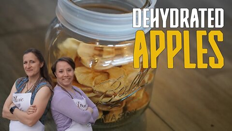 Dehydrated Apple Rings [Apple Chips] | Quick, Easy, and Healthy Snacks
