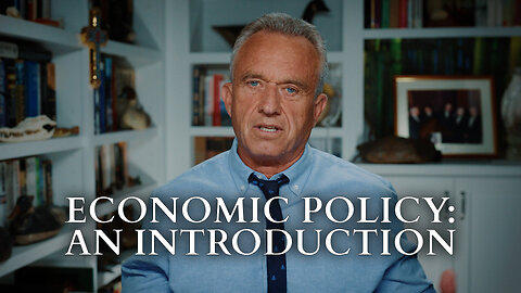 Economic Policy: An Introduction