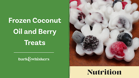 Frozen Coconut Oil and Berry Treats