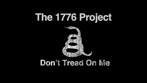 The 1776 Project Meeting 07: Doctor Pamela Popper on COVID-19