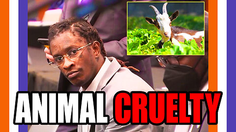 Rapper Hiding Animal Cruelty From His Case