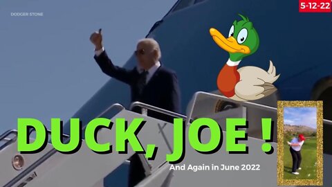 Duck, Joe! 😂 👉🦆