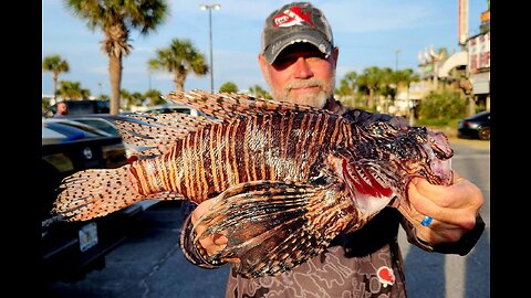 Spearfishers Remove Nearly 20,000 Invasive Lionfish from the Gulf of Mexico in Two Days