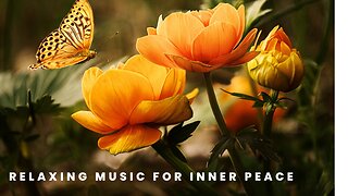 "Enchanted Melodies: Relaxing Music amidst Forests and Fields of Flowers"