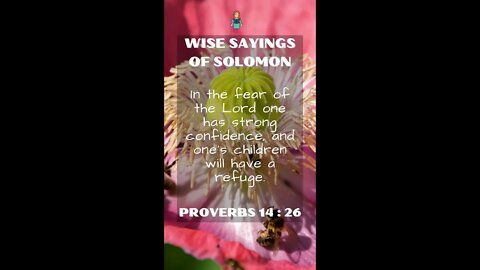 Proverbs 14:26 | NRSV Bible | Wise Sayings of Solomon