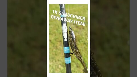 What else should we give away?! #shorts #fishing #1000subscribers