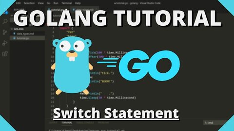 Golang Tutorial #11 - Switch Statement