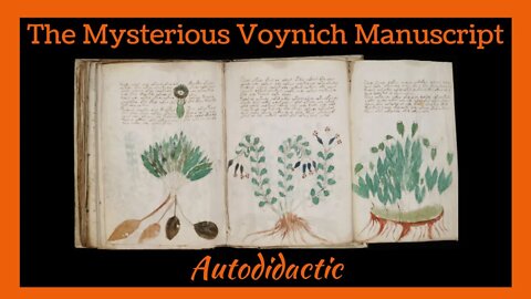 The Mysterious Voynich Manuscript