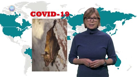 Coronavirus (COVID-19): Why are bat viruses so deadly?