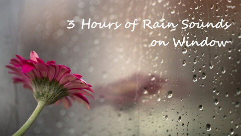 (3 HOURS) of Rain Sounds on Window | Rain Sounds for Sleep, Study and Relaxation.