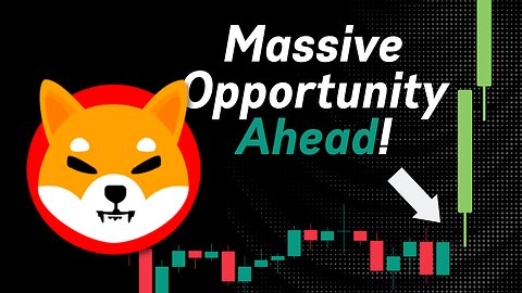 BIG OPPORTUNITY AHEAD FOR SHIBA INU! (SHIB PRICE PREDICTION)