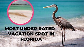 Paradise Found: Exploring Lido Key Beach, Florida's Hidden Gem