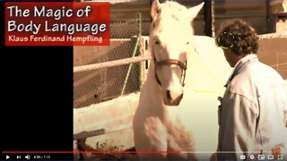 Evaluating & Discussing Klaus Hempfling Working With A Stallion - Explaining Horse Language - Part 3