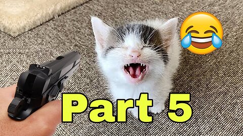 Funniest Animals 2023 | Part 5