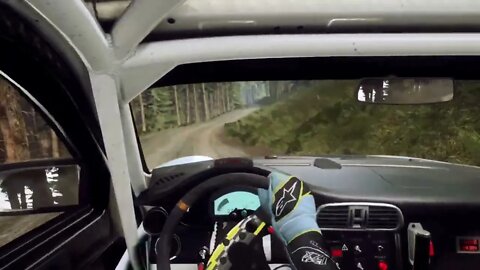 DiRT Rally 2 - 911 RGT Scuffles Through Pant Mawr