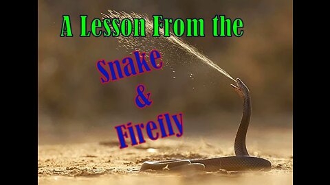 A Lesson From The Snake And Firefly