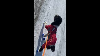 Winter Biking With Charly