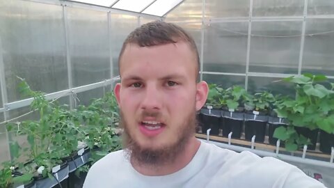 Hydroponics At Home Greenhouse & Hydroponics Overview