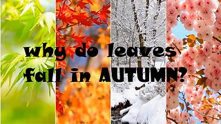 Why do leaves fall in autumn?