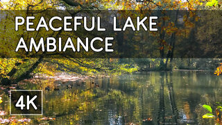 Ambiance: 1 Hour of Peaceful Lake View with Natural Sounds - 4K UHD