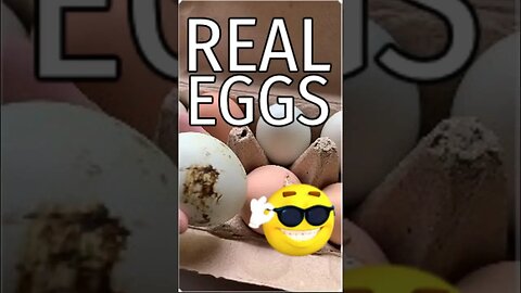 Poop on Chicken Eggs = REAL Pastured Eggs! #freerangeeggs #carnivoredietlifestyle