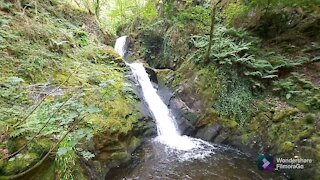 Dolgoch Falls in Wales - Great waterfalls!