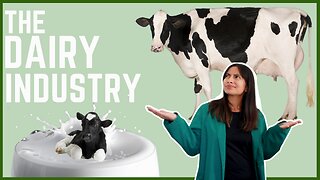 THE TRUTH ABOUT THE DAIRY INDUSTRY