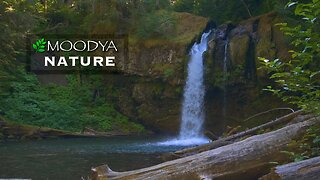 Relaxing Nature Video & Sound - Iron Creek Falls Part 2 - Beautiful Washington State Landmark