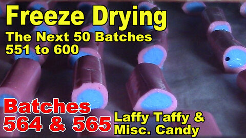 Freeze Drying - The Next 50 Batches - Batches 564 & 565 - Candy for #1 Child, Misc. Kinds