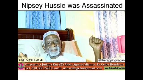 The Real Reason Dr. Sebi & Nipsey Hussle was Assassinated (Numbers dont lie) #shorts