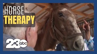Horse therapy helps Denver area seniors