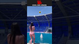 jogando bola com golfinhos