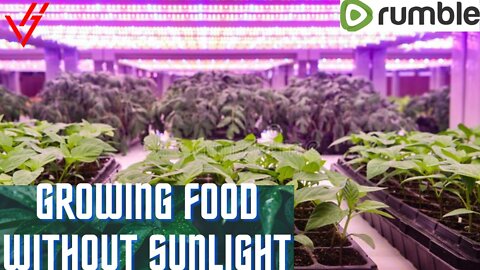 Scientists grow food without sunlight