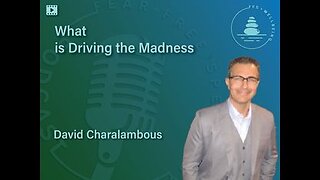 What is Driving the Madness? | David Charalambous