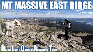 Mt Massive Colorado 14er East Ridge : Peak Bagging with my Dog