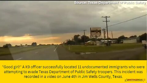 "Good girl!" A K9 officer successfully located 11 undocumented immigrants