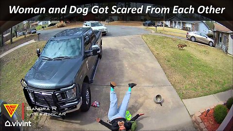 Woman and Dog Got Scared From Each Other Caught on Vivint Camera | Doorbell Camera Video