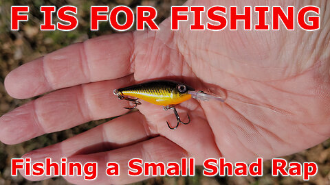 Fishing a Small Shad Rap