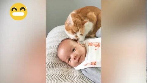 cats struggle with children funny videos - 2021 - HD - (Part 2) try not to laugh