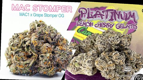 S6 Episode 11 Mac Stomper + Platinum Lemon Cherry Gelato Strain Review