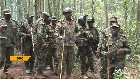 Operation Shujaa milestones - what is left of the ADF rebels in Eastern DRC?