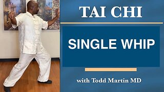 Tai Chi Single Whip Lesson 7 Yang Style 24 Form with Todd Martin MD