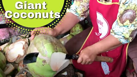 Splitting Massive Coconuts