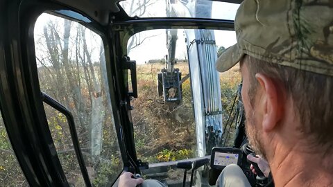 Clearing trees from a food plot ditch.. What's the strategy? Bobcat e42 R-2 series mini excavator