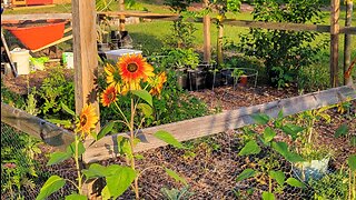 Florida Urban Homestead Garden Tour