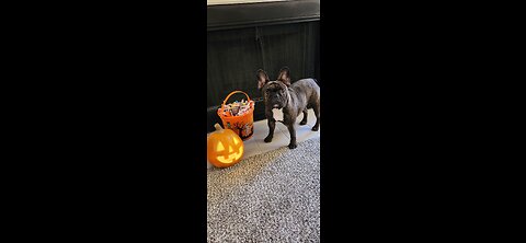 My First Halloween!!!!!